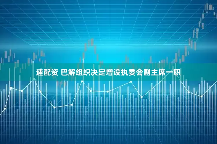 速配资 巴解组织决定增设执委会副主席一职
