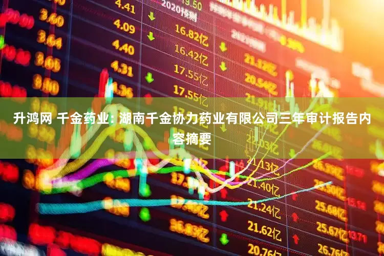 升鸿网 千金药业: 湖南千金协力药业有限公司三年审计报告内容摘要